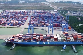 BR-VT: Gói thầu cây xanh 19 tỷ đồng bao giờ có kết quả?