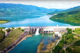 Bình Định thu hồi đất của hai doanh nghiệp
