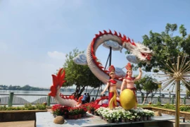 Đồng Nai: Đường hoa Nguyễn Văn Trị hơn 8 tỷ có gì?