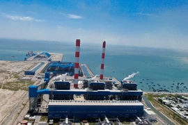 Năng lượng Việt Nam cung cấp dịch vụ giám định khối lượng và chất lượng than nhập khẩu