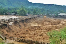 Thời tiết hôm nay (5/8): Bắc Bộ tiếp tục mưa lớn