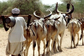 Người đàn ông bị đánh hội đồng tới chết chỉ vì điều khó tin này