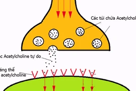 Bệnh nhược cơ là gì, có phải là không thể chữa được?