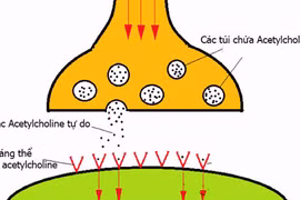 Bệnh nhược cơ là gì, có phải là không thể chữa được?