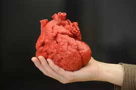 Quả tim in 3D có mô và mạch máu đầu tiên trên thế giới