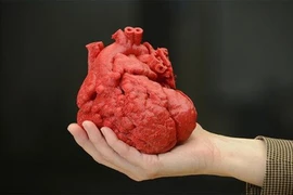 Quả tim in 3D có mô và mạch máu đầu tiên trên thế giới