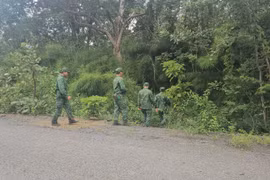 Đã tìm thấy máy bay huấn luyện YAK-130 rơi ở Đắk Lắk