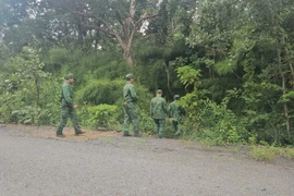 Đã tìm thấy máy bay huấn luyện YAK-130 rơi ở Đắk Lắk