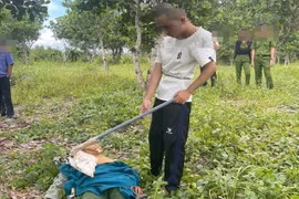 Cậu bé chăn bò tiết lộ gì trong vụ con trai giết mẹ ruột?