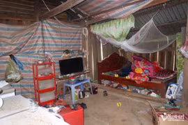 Hai thiếu niên sát hại chủ quán tạp hóa để cướp bia về nhậu