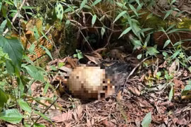 Hiện trường ám ảnh tại nơi phát hiện thi thể trẻ em không nguyên vẹn ở nghĩa trang