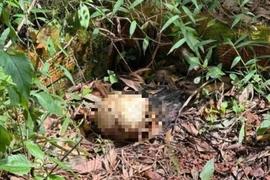 Hiện trường ám ảnh tại nơi phát hiện thi thể trẻ em không nguyên vẹn ở nghĩa trang