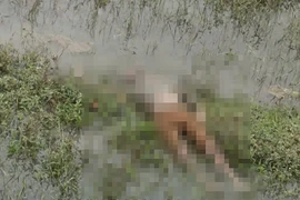 Thi thể cô gái bốc mùi hôi tại cánh đồng tố 2 sát nhân máu lạnh