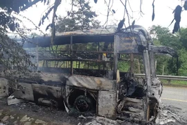 30 hành khách hoảng loạn tháo chạy khi xe giường nằm bốc cháy 