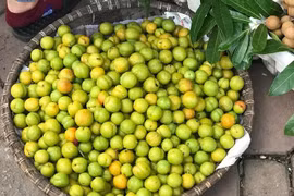 Ngập chợ là những loại quả này, hàng Trung Quốc chị em vẫn tranh nhau mua