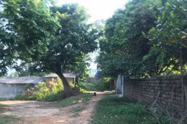 Nghi án 2 người đàn ông U60 xâm hại tình dục 2 chị em ruột, 1 cháu mang thai