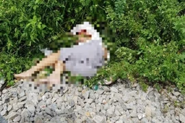 Hà Nam: Vượt đường ray tàu hỏa, 2 thanh niên tử vong 