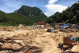 Thanh Hóa: Bàng hoàng phát hiện thi thể nữ đang phân hủy 