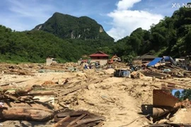 Thanh Hóa: Bàng hoàng phát hiện thi thể nữ đang phân hủy 