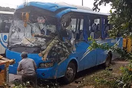 Kinh hoàng ô tô đang đi bị cây xuyên thủng