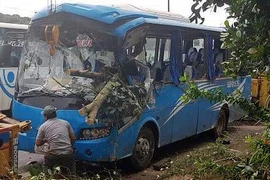 Kinh hoàng ô tô đang đi bị cây xuyên thủng