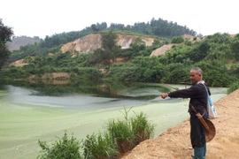 Dân tố trại lợn công ty Japfa Việt Nam gây ô nhiễm