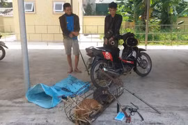 2 trộm chó vác kiếm chống trả công an khi bị phát hiện