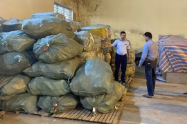 8.000 đôi giày nghi giả nhãn hiệu Nike, Adidas bán buôn qua Facebook