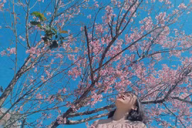 Tết Nguyên đán 2023 đi chơi đâu ở miền Nam?