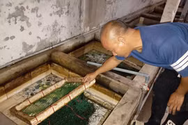 Đứng sau thành công của kênh Lão Nông Vlog là “ông trùm” nuôi lươn 