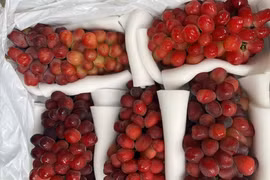 Việt Nam chi hơn 2.500 tỷ đồng nhập khẩu các loại nho tươi