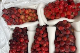 Việt Nam chi hơn 2.500 tỷ đồng nhập khẩu các loại nho tươi