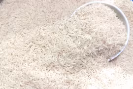 Doanh nghiệp Việt chi 148 triệu USD để nhập khẩu gạo trên thế giới