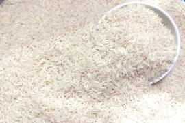 Doanh nghiệp Việt chi 148 triệu USD để nhập khẩu gạo trên thế giới