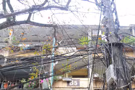 3 khu tập thể cũ Hà Nội dự kiến cải tạo lên 48 tầng