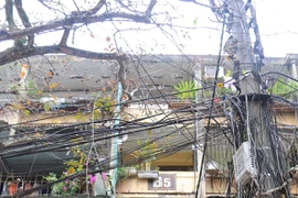 3 khu tập thể cũ Hà Nội dự kiến cải tạo lên 48 tầng