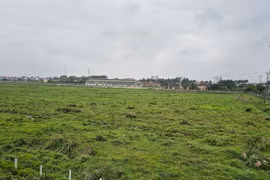 Hải Dương: Thu hồi đất Vinamit do vi phạm pháp luật về đất đai