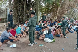 Triệt phá trường gà ngày mùng 2 Tết, thu giữ tang vật “khủng”