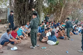 Triệt phá trường gà ngày mùng 2 Tết, thu giữ tang vật “khủng”