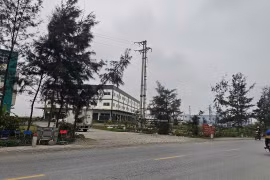 Lý do Hải Dương thu hồi đất của Công ty TNHH thực phẩm Tin Tin