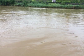Lào Cai: Lũ trên sông Hồng đang lên cao