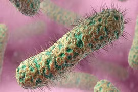 Dấu hiệu nhận diện căn bệnh kinh dị “mất” dần nội tạng 