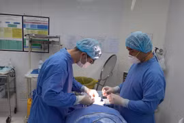 TP HCM: Cần xử lý dứt điểm những sai phạm tại Viện thẩm mỹ Janhee