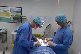 TP HCM: Cần xử lý dứt điểm những sai phạm tại Viện thẩm mỹ Janhee