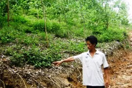 Thiếu nữ bị hiếp dâm tập thể lúc nửa đêm