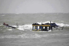 Đã cứu được 3 thủy thủ trôi dạt trên biển