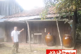 Tự thú không ai tin, lăn ra ngủ bên... xác chết