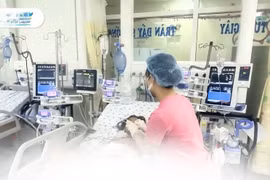 Bé 9 tuổi sốc sốt xuất huyết nặng, tổn thương gan, suy hô hấp