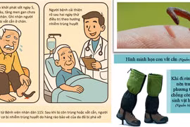 Đi rừng bị “vết cắn nhỏ” người đàn ông suýt tử vong vì nhiễm trùng huyết