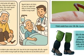 Đi rừng bị “vết cắn nhỏ” người đàn ông suýt tử vong vì nhiễm trùng huyết